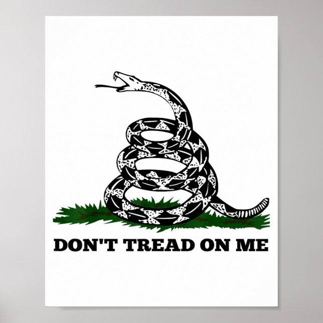 Affiche Don't Tread On Me 2nd Amendment Patriotic New Nove (Devant)