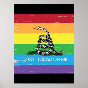 Affiche Don't tread on me Gadsden flag LGBT Rainbow grunge