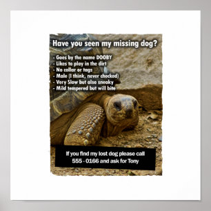 AFFICHE DOOBY CHIEN PERDU