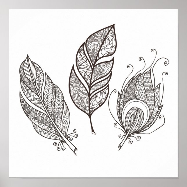 Affiche Doodle en plumes complexes 2 (Devant)