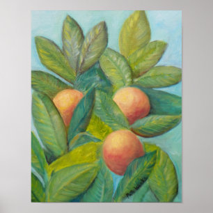 Affiche d'ORANGES de la FLORIDE de JARDIN