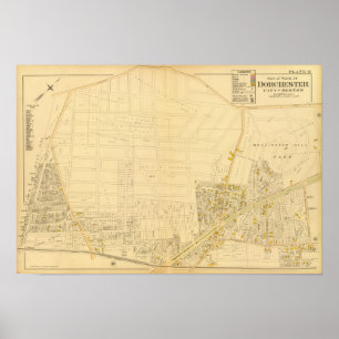 Affiche Dorchester, Massachusetts 4