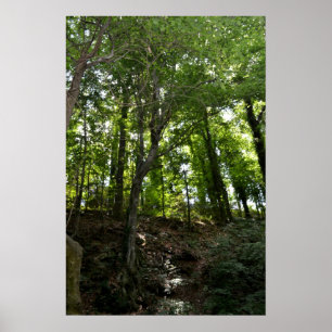 Affiche d'oscillation et d'arbre