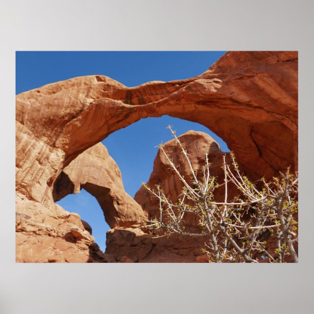 Affiche Double arc au Parc national des Arches (Devant)