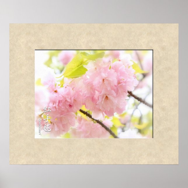 Affiche Double Cherry Blossom: Benitemari (Devant)