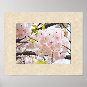 Affiche Double Cherry Blossom: Oh-jochin