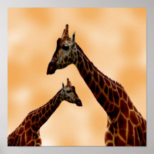 Affiche Double problème de girafe,
