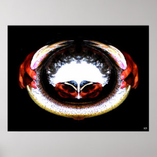 Affiche Double vision