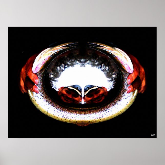 Affiche Double vision (Devant)