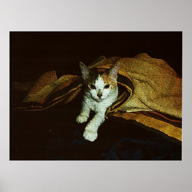 Affiche Douce comme un petit chat (Devant)