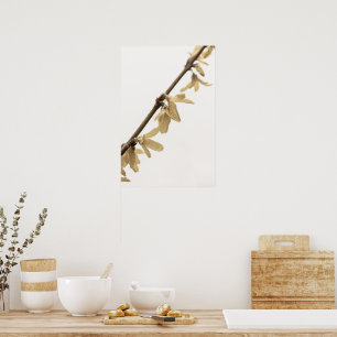 Affiche Douches de printemps sur l'affiche des fleurs de F