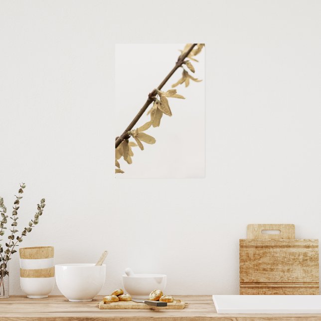 Affiche Douches de printemps sur l'affiche des fleurs de F (Cuisine)