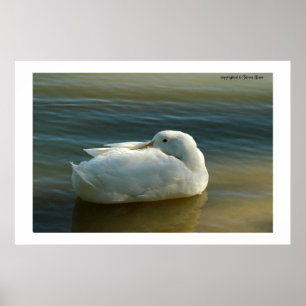 Affiche Doux en blanc