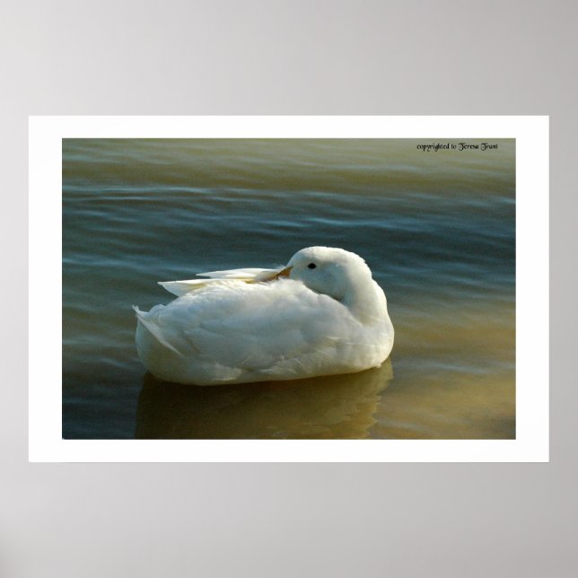 Affiche Doux en blanc (Devant)