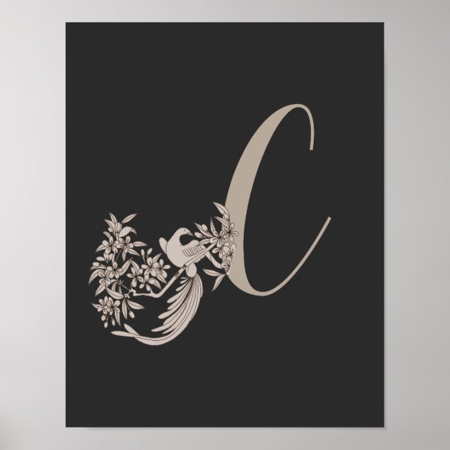 Affiche Dove Elegant Monogramme Initiale C  (Devant)