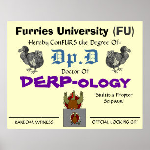 Affiche Dr. du DERP-ology 2
