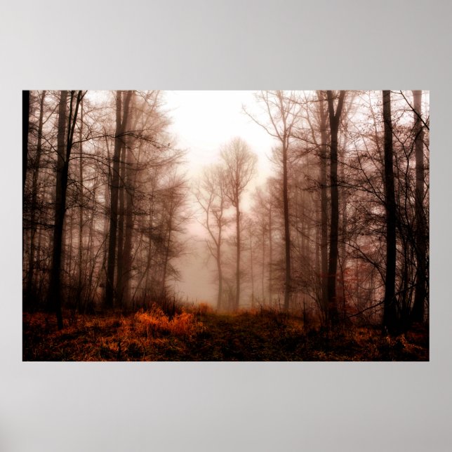 Affiche Drac red foggy winter snowless forest (Devant)