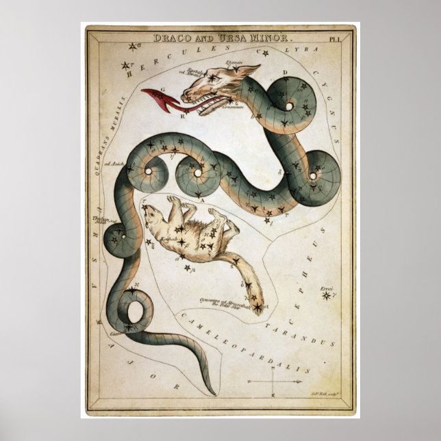 Affiche Draco et Ursa Minor (Devant)