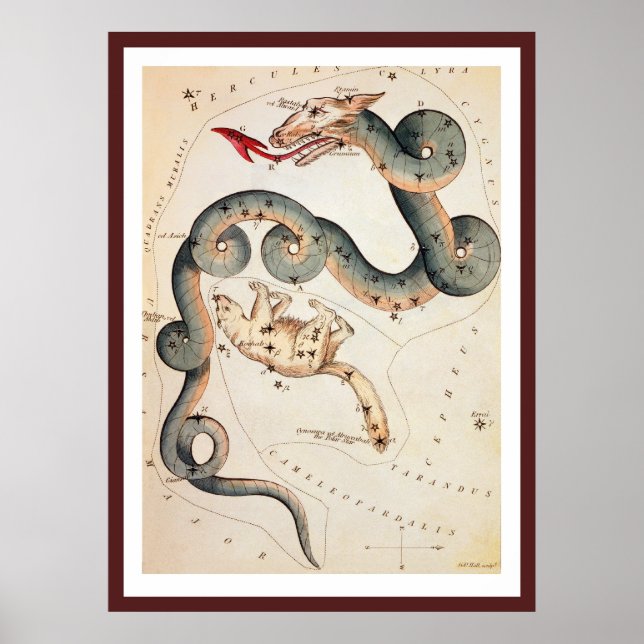 Affiche Draco et Ursa Minor par Sidney Hall (Devant)
