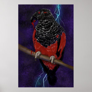 Affiche Dracula Parrot