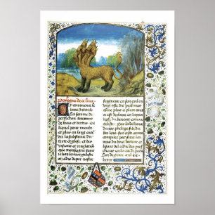 Affiche Dragon à sept têtes, inconnu