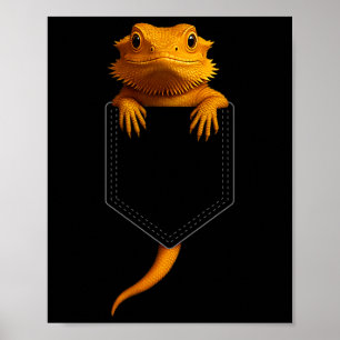 Affiche Dragon barbu Cket Mignon Lézard Exotique Reptile A
