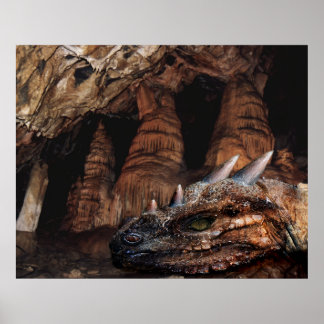 Affiche Dragon cave