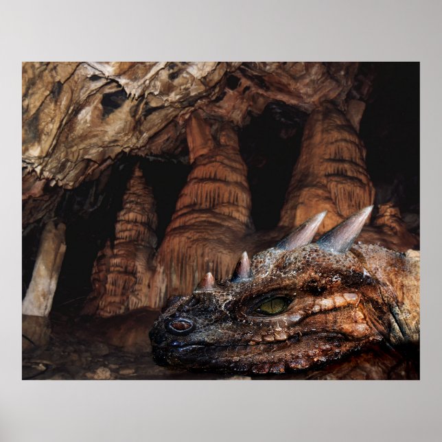 Affiche Dragon cave (Devant)