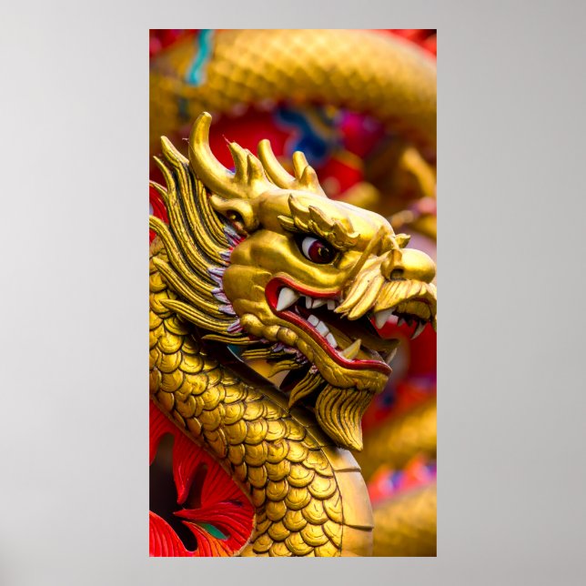 Affiche Dragon Chinois (Devant)