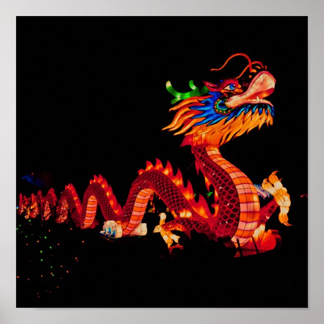 Affiche Dragon de défilé chinois (Devant)
