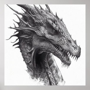 Affiche Dragon Fantasstique Nature sauvage Illustration an