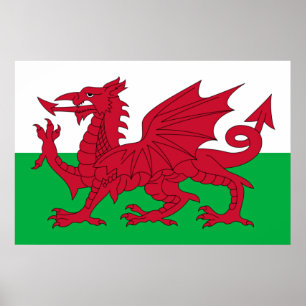 Affiche Dragon gallois ~ Drapeau du Pays de Galles