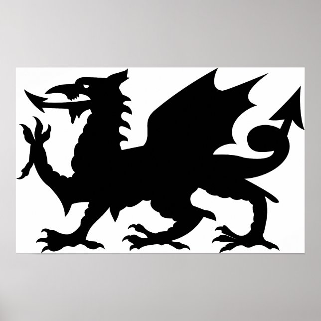 Affiche Dragon Heraldry (Devant)