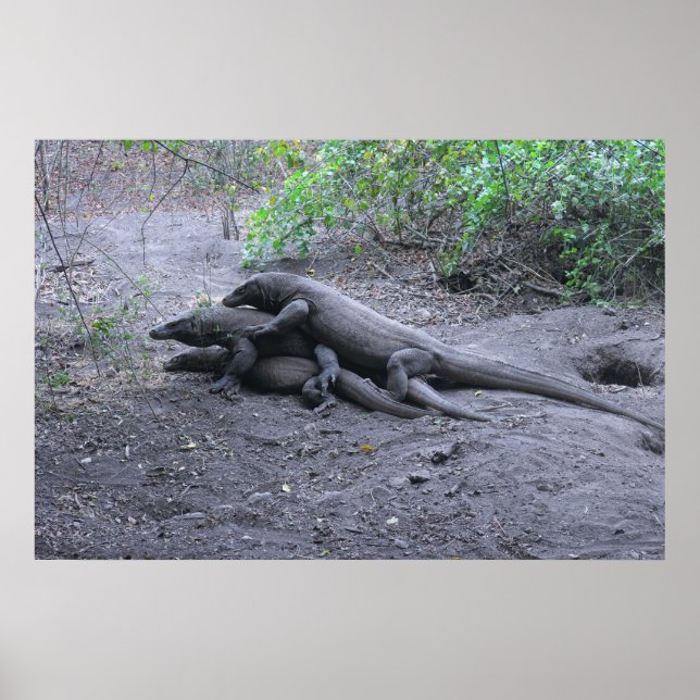 Affiche Dragon Love (Devant)