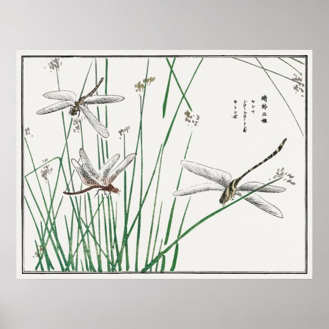 Affiche Dragonflies and Reed Grass par Morimoto Toko, (Devant)