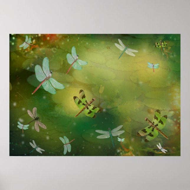 Affiche Dragonflies et Water Lillies (Devant)
