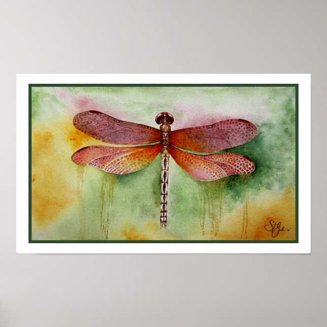 Affiche Dragonfly (Devant)