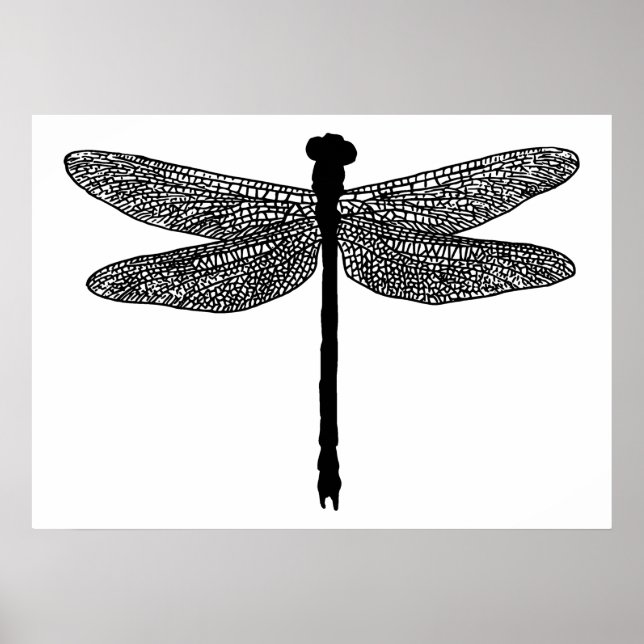 Affiche dragonfly Bug Insect nature Silhouette art (Devant)