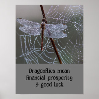 Affiche Dragonfly Dragonflies Signification carte