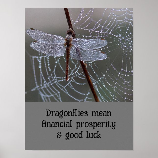 Affiche Dragonfly Dragonflies Signification carte (Devant)