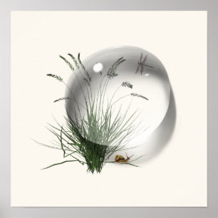 Affiche Dragonfly Escargot Goutte d'Eau Abstrait 