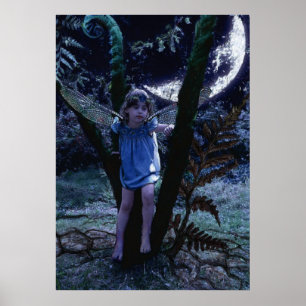Affiche Dragonfly Fairy in Moonlight Print