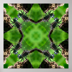 Affiche Dragonfly Nature Kaleidoscope Art