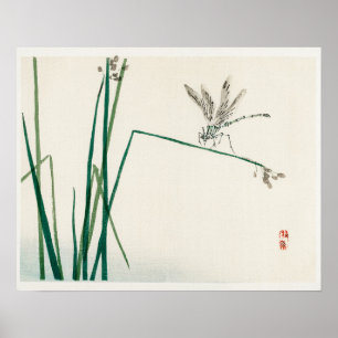 Affiche Dragonfly on Bulrush leaf par Kōno Bairei (1844-18