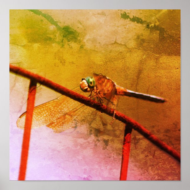 Affiche Dragonfly on Wire Fence Art déprimé (Devant)
