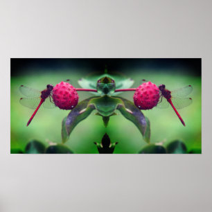 Affiche Dragonfly rouge sur Dogwood Fruit Mirror Abstrait