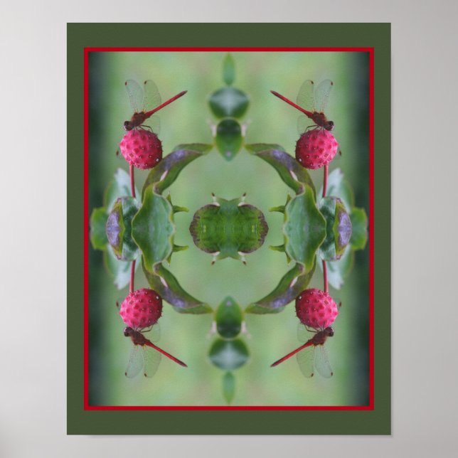 Affiche Dragonfly Rouge sur le Fruit de Dogwood Abstrait (Devant)