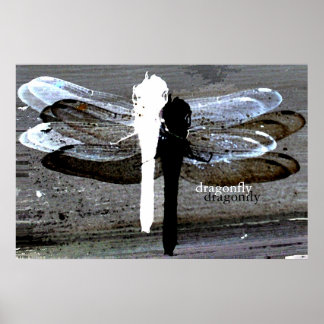 Affiche Dragonfly (séperation noir et blanc)