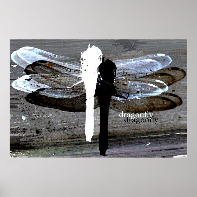 Affiche Dragonfly (séperation noir et blanc) (Devant)