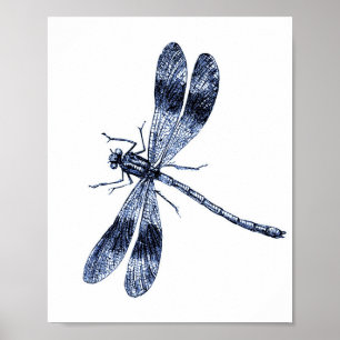 Affiche Dragonfly vintage - Bleu